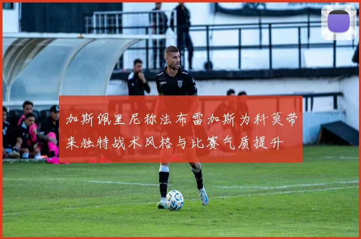 加斯佩里尼称法布雷加斯为科莫带来独特战术风格与比赛气质提升