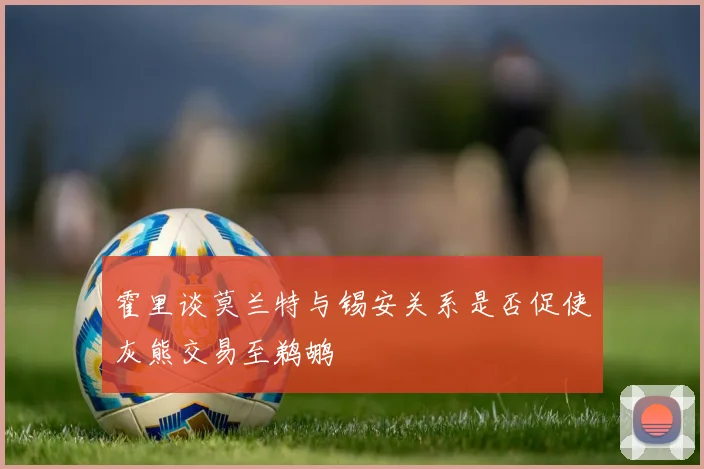 霍里谈莫兰特与锡安关系是否促使灰熊交易至鹈鹕