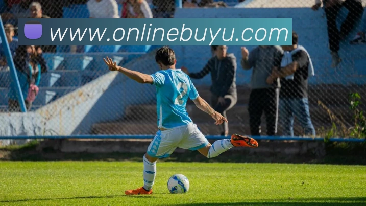 App Interface Preview