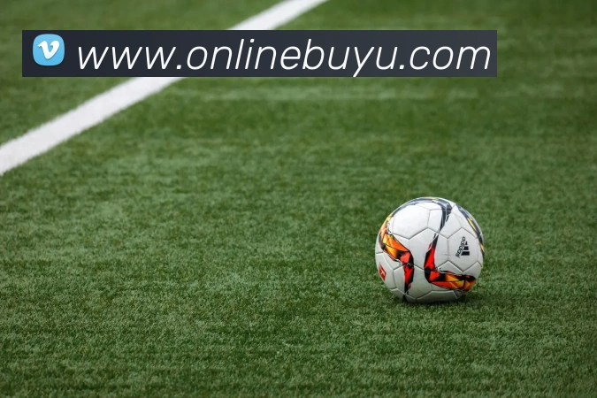 线上捕鱼平台APP 封面图